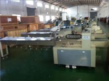 ZP420 Flow pack machine