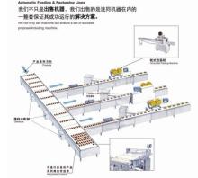 food automatic feeding packaging lines