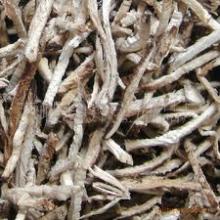 Shiitake Mushroom Stem Strip