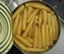 canned baby corn whole 15oz/100oz/370ml