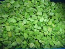 Frozen Broad Beans Peeled