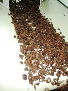 dehydrated  sliced   olives 