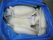 Frozen  Cuttle   Fish   Whole   Clean ed IQF