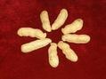 roasted & salted peanut in shell