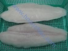 Pangasius fish fillet