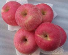 Fresh Fuji apple