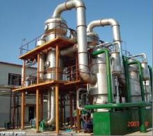 Tomato paste production line