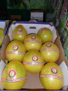 fresh fruit