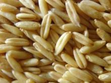 Oats