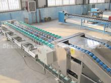 double line fruit grading machine with auto feeder