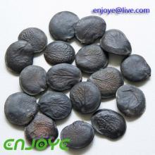 Griffonia Seed Extract 5-HTP