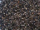 buckwheat hulls/husks