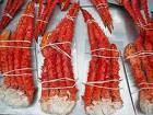 king crab meat