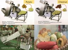 Fruit Peeling Machine (Auto Vegetable Peeling Machine, Potato, Carrot, Radish etc.)