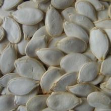 High Quality Snow white pumpkin seeds