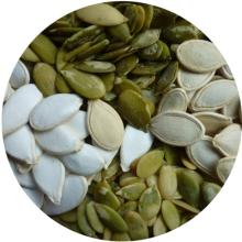 Pumpkin Kernel