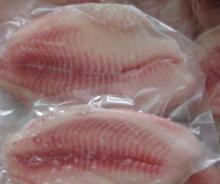 Tilapia Fillet