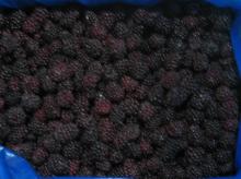 IQF Blackberry