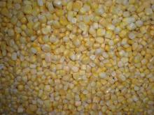 IQF sweet corn  kernals 