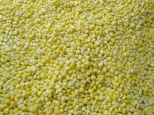 IQF sweet corn
