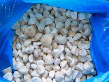 frozen champignon quaters