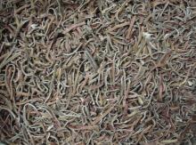IQF black fungus strip
