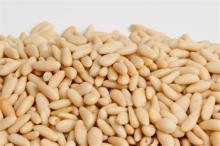 Mediterranean Pine Nuts