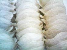 Bird's Nest - Full Shape