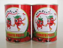 400gx24tins tomato paste