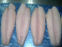  Basa   Fillet s
