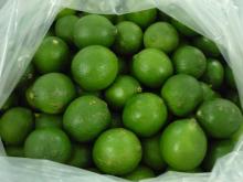Fresh Lemon
