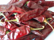  Dried   Chilli 