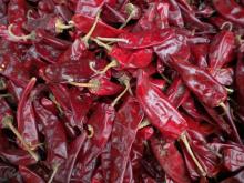 Yidu chilli