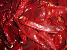 Chilli