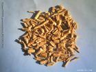  Codonopsis  Extract