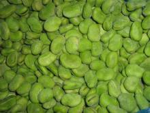 IQF Frozen board beans