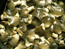 black oyester mushroom