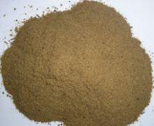 Fish Meal