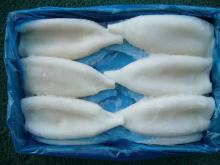 Frozen Squid  Tube  Cleaned