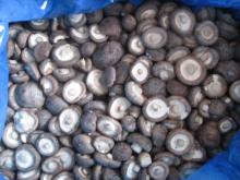 IQF Frozen shiitake Mushroom