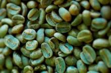Cocoa and coffee beans-DRIED COCOA BEANS FOR SALE: