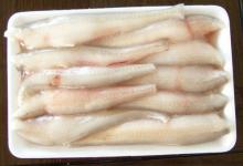 Frozen  Bombay   duck  fish