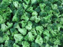 IQF broccoli