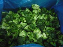 IQF frozen broccoli