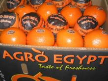 Navel Oranges