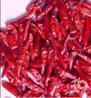 Dry Red Chilli