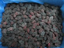 IQF Frozen Mulberry