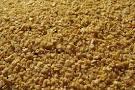 soybean meal