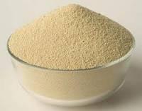 High Quality Soybean Meal and Other Forms Of Soybean