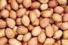 QUALITY PEANUTS